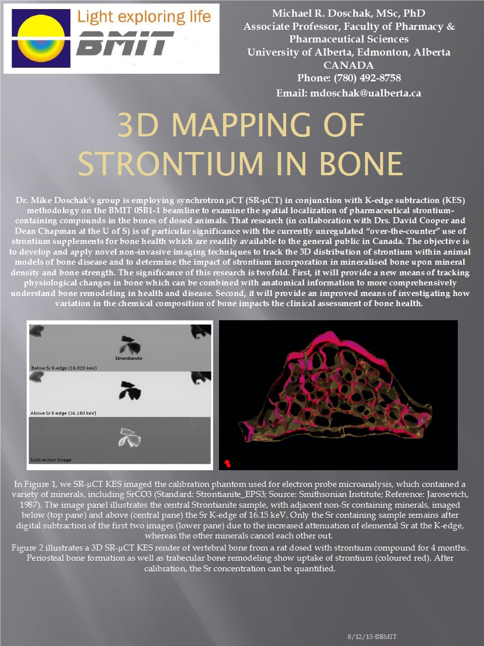 3D Mapping Of Strontium in Bone Image