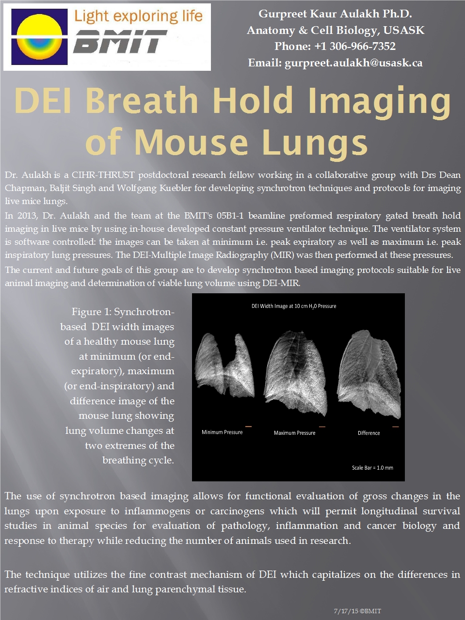 DEI Breath Hold Imaging Of Mouse Lungs Image