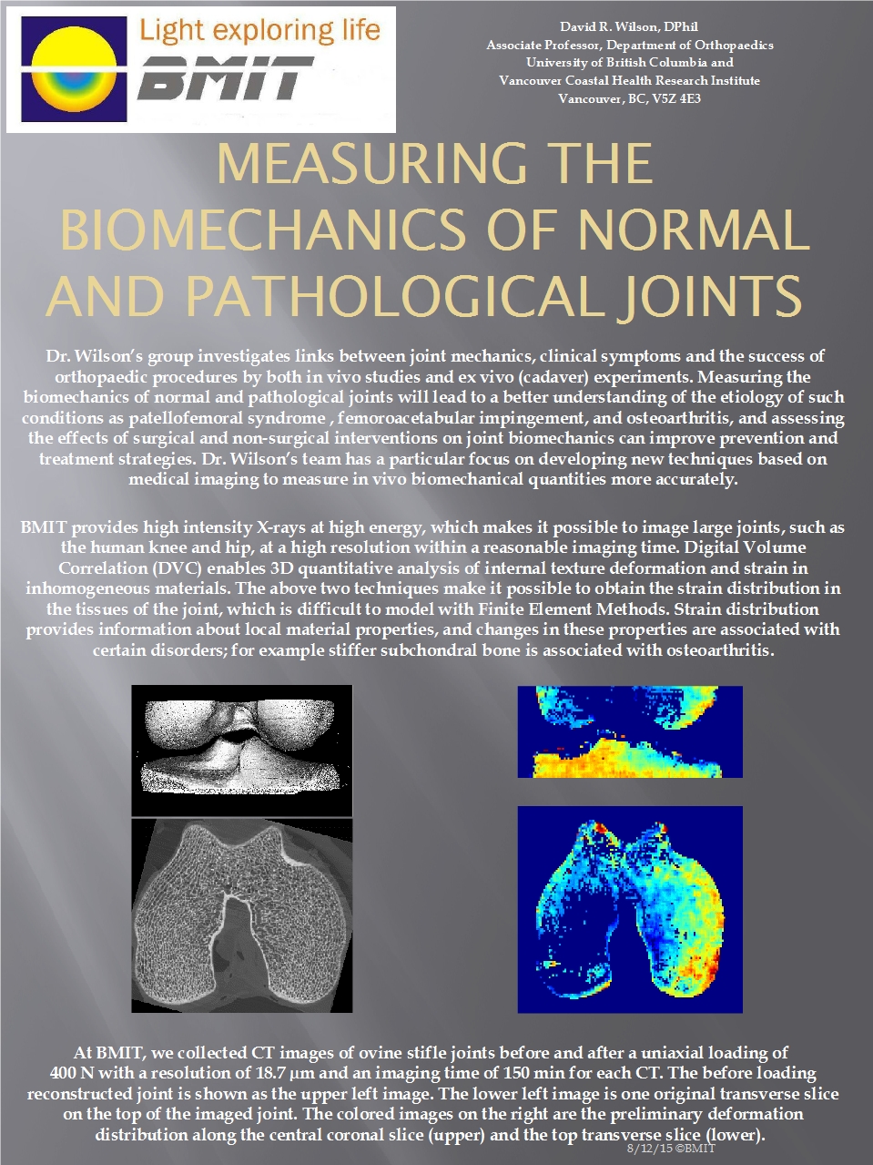 Measuring the Biomechanics of Normal and Pathological Joints Image