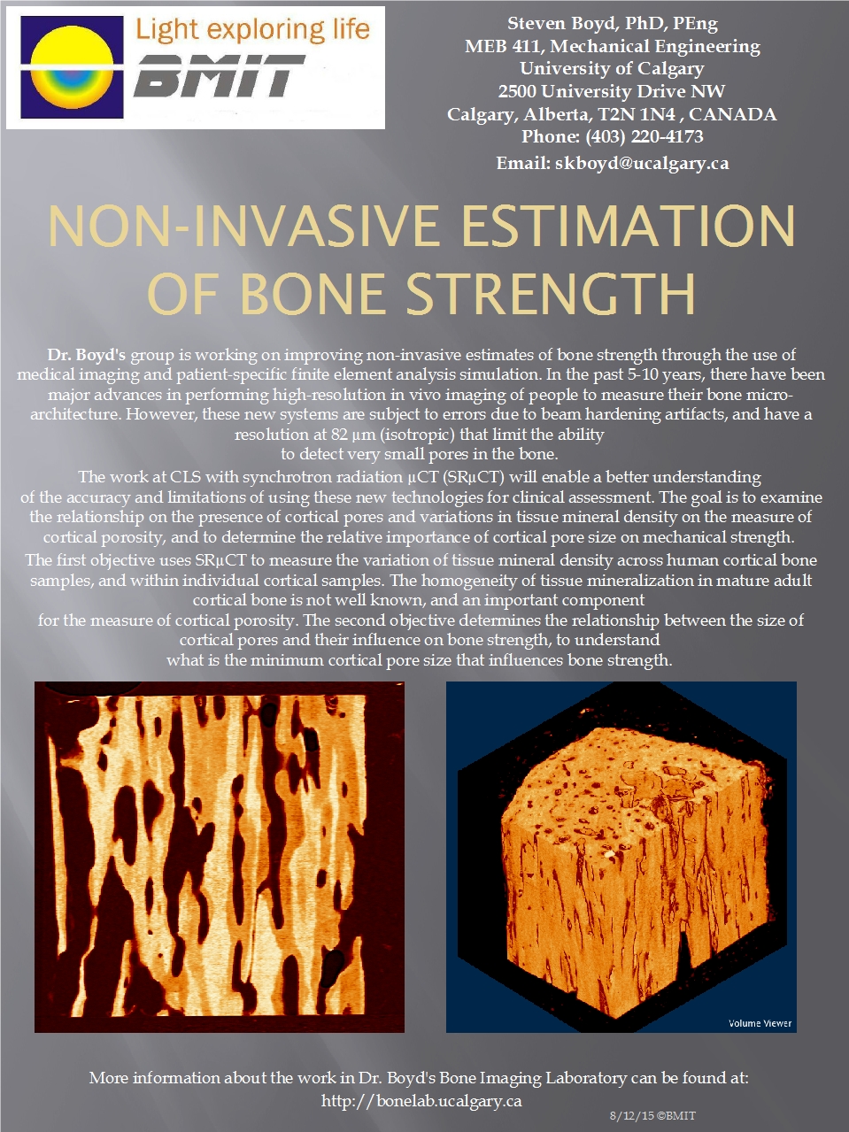 Non-Invasive Estimation of Bone Strength Image