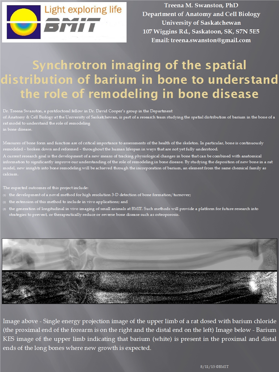 Synchrotron Imaging Of the Spatial Distribution of Barium in Bone to Understand the Role of Remodeling In Bone Disease  Image