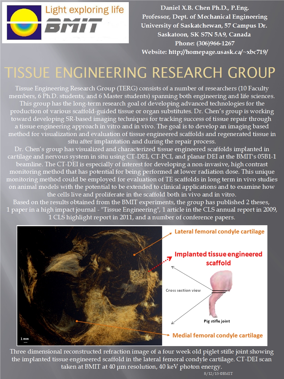 Tissue Engineering Research Group Image