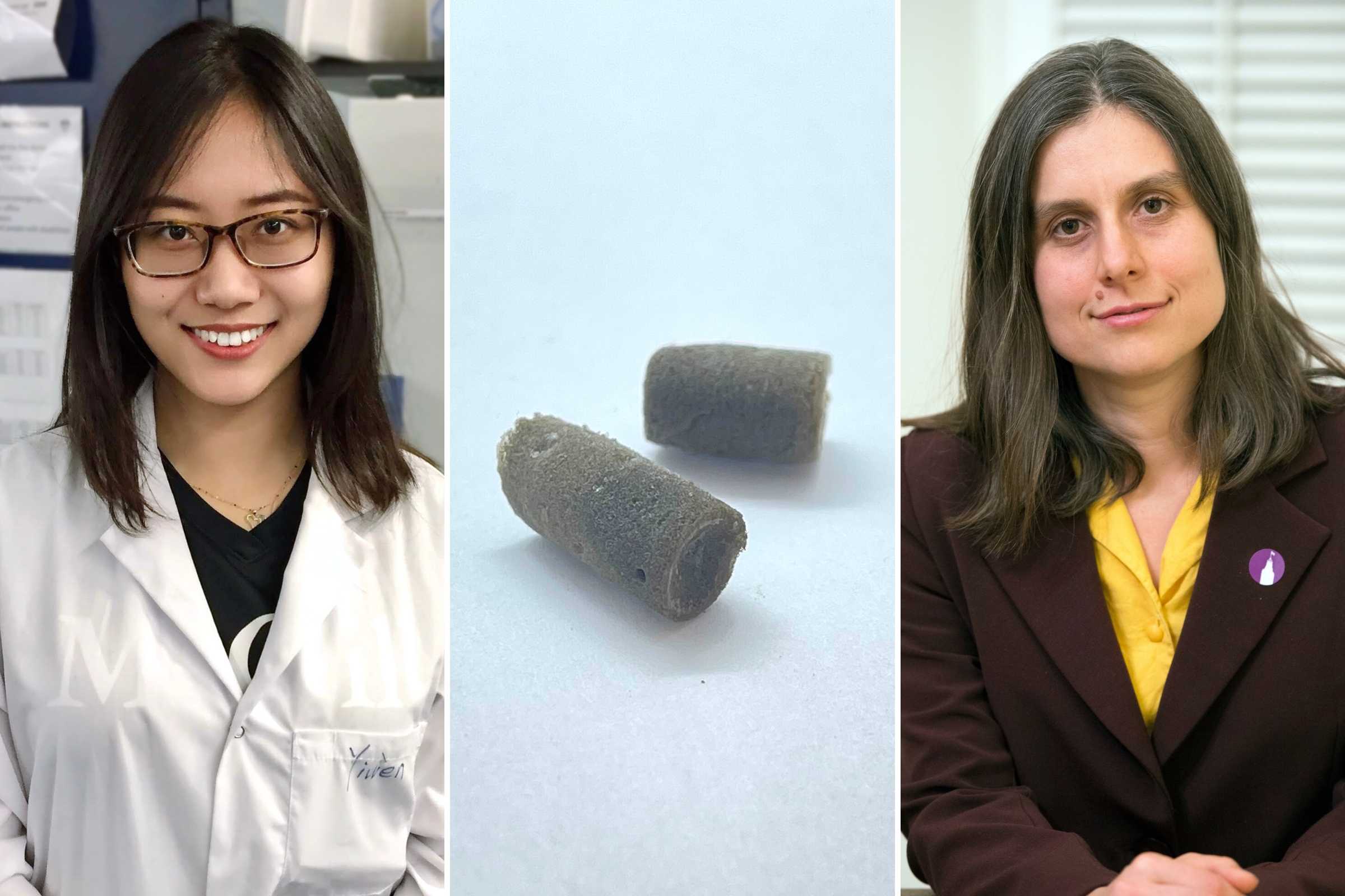 Promising new approach to rebuild bone tissue Image