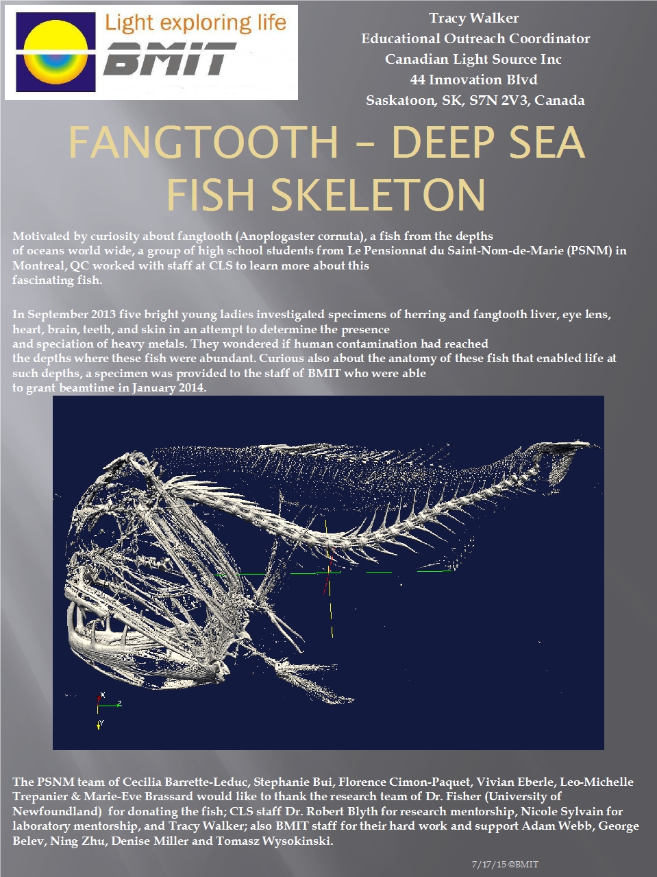 Fangtooth- Deep Sea Fish Skeleton Image