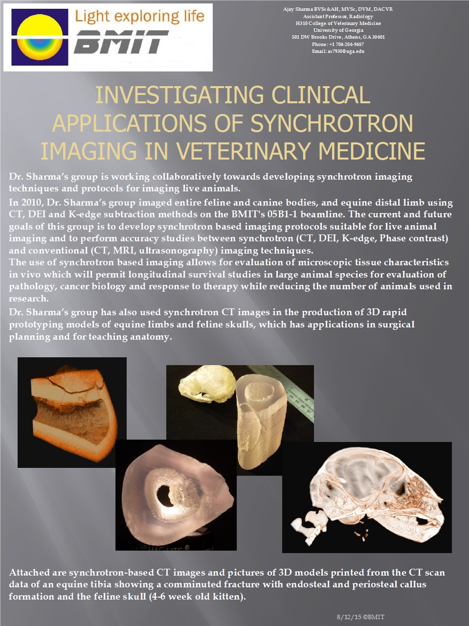 Investigating Clinical Applications of Synchrotron Imaging In Veterinary Medicine Image