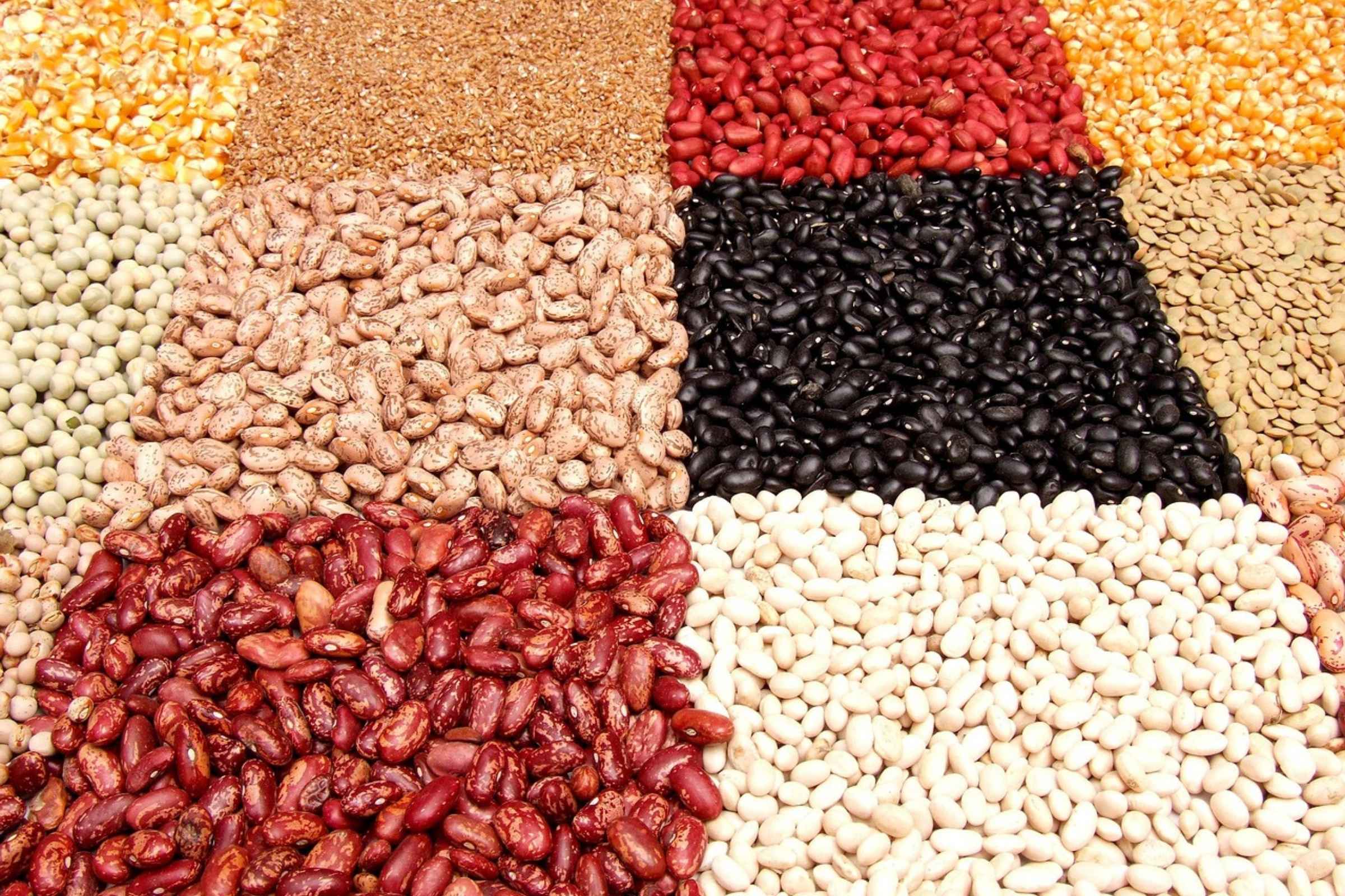 Better heating method makes legumes easier to digest Image