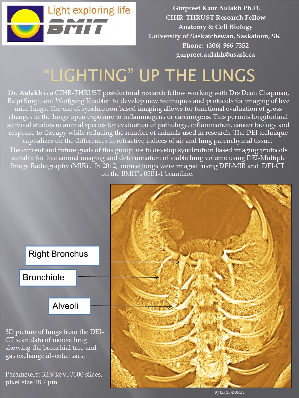 “Lighting” Up the Lungs Image