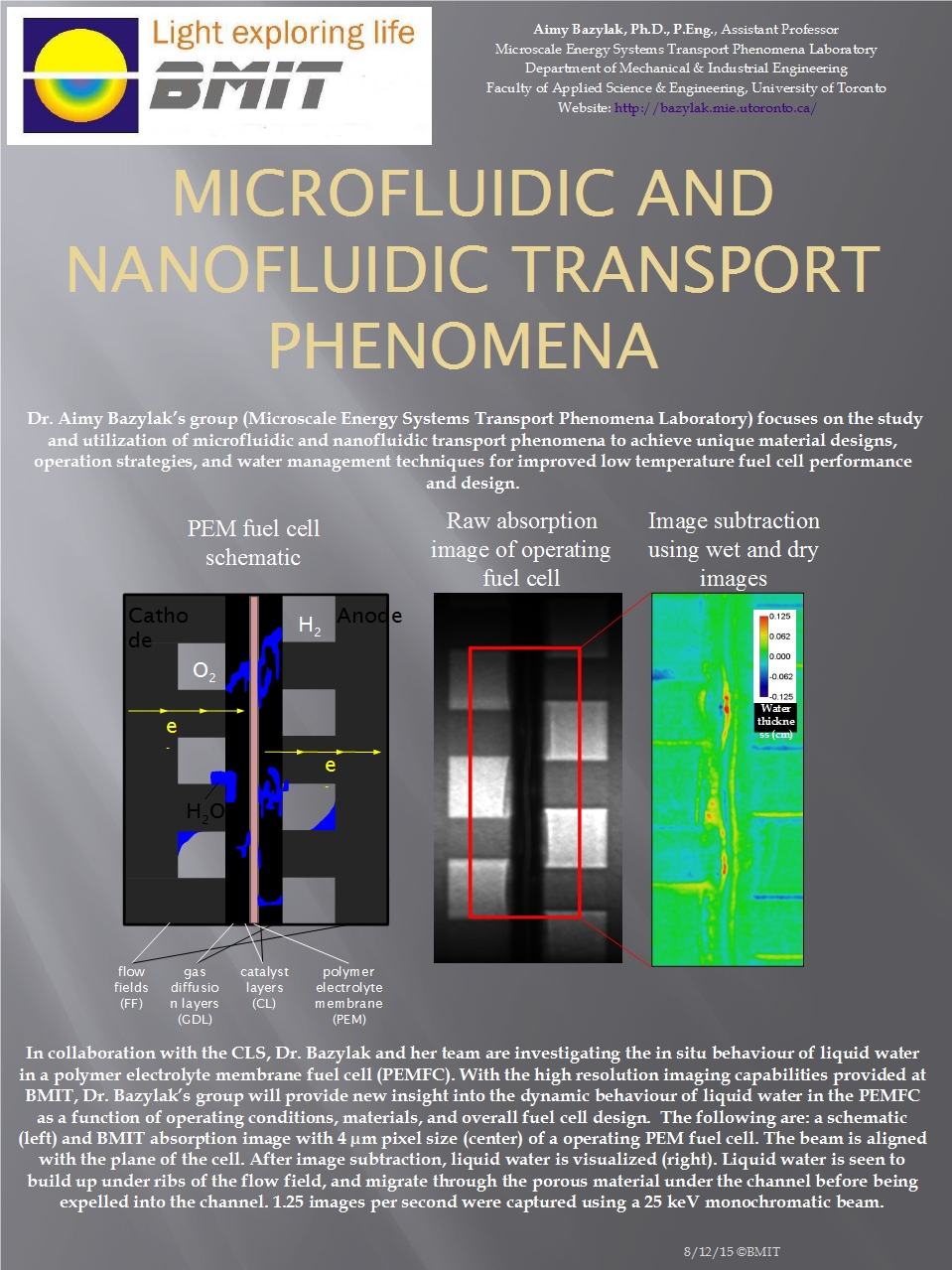 Microfluidic and Nanofluidic Transport Phenomena Image
