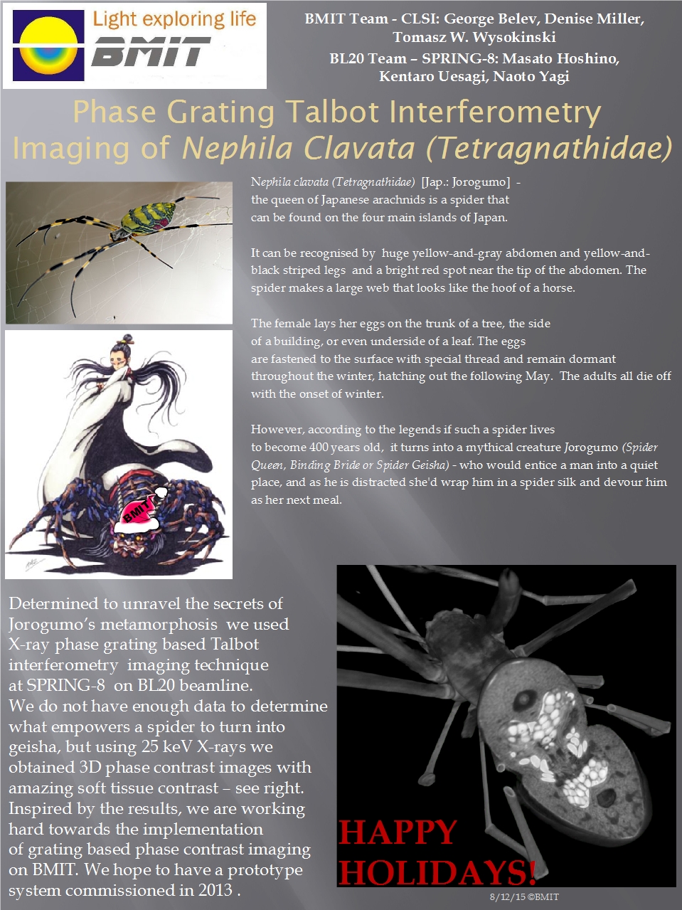 Phase Grating Talbot Interferometry Imaging of Nephila Clavata (Tetragnathidae) Image