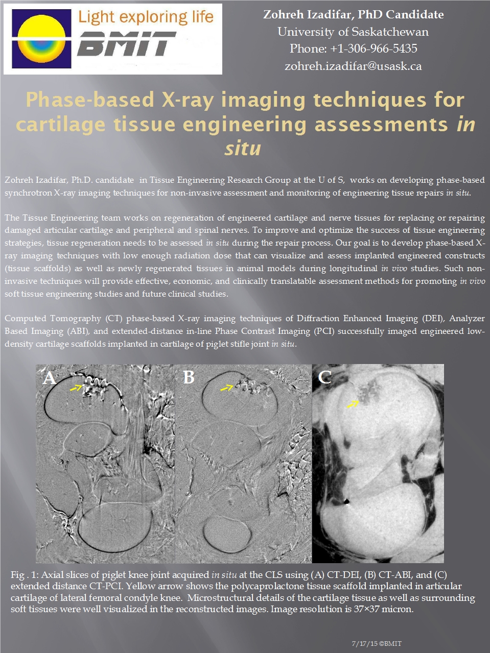 Phase-Based X-Ray Imaging Techniques for Cartilage Tissue Engineering Assessments in Situ Image