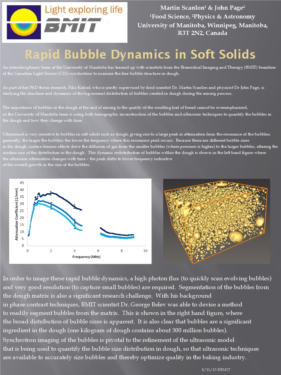 Rapid Bubble Dynamics in Soft Solids  Image