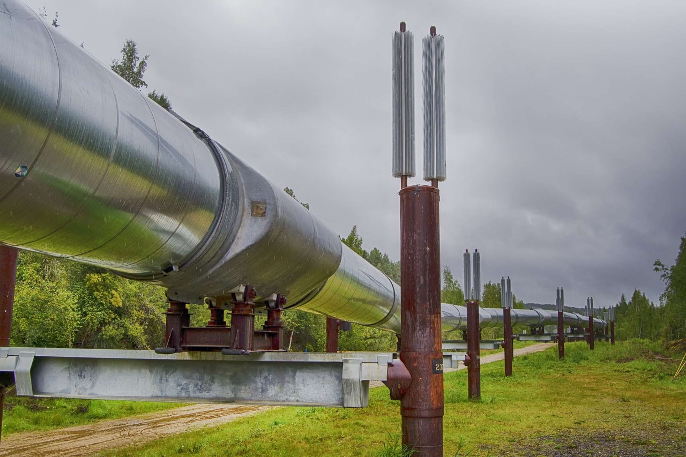 Improving steel pipelines for safe transport of hydrogen Image