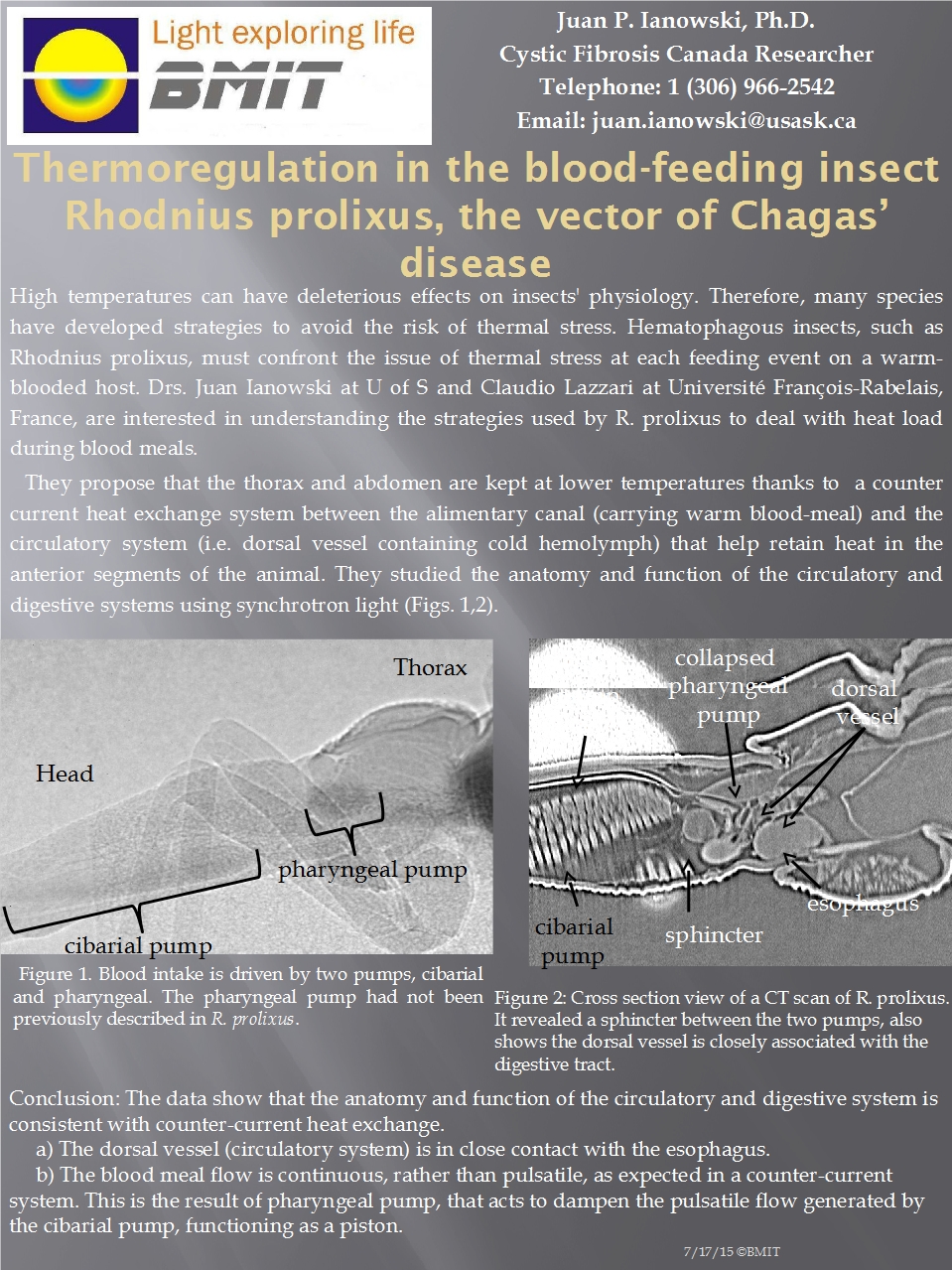 Thermoregulation in the Blood-Feeding Insect Rhodnius Prolixus, the Vector of Chagas’ disease Image